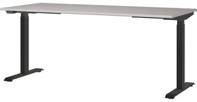 Scrivania regolabile con regolazione elettrica dell'altezza 80x180 cm Bedano - Germania