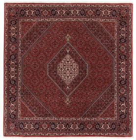 Bidjar Tappeto 210x210 (Iran) Annodato A Mano