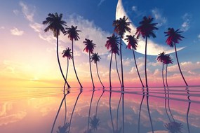 Carta da parati autoadesiva – Tramonto su palme tropicali
