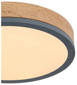 Globo 416080WD1R - Plafoniera LED DORO LED/12W/230V d. 30 cm