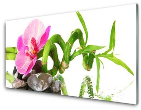 Pannello cucina paraschizzi Fiore, pianta, natura 100x50 cm