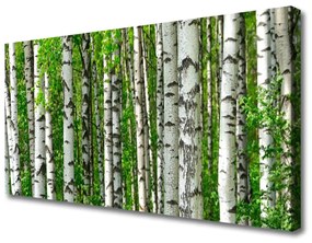 Quadro su tela Foresta, piante, natura 100x50 cm