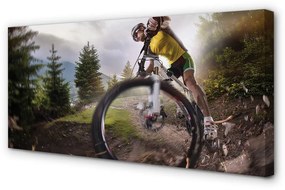 Quadro su tela Nuvole di mountain bike 100x50 cm