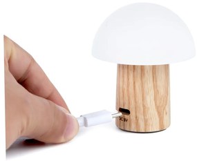 Lampada da tavolo con intensità regolabile di colore naturale in frassino massiccio (altezza totale 7 cm) Alice – Gingko