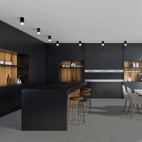 Brilagi - Luce Spot da bagno SELE 1xGU10/30W/230V IP44 nero