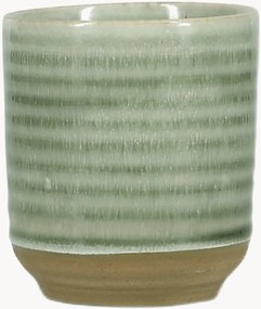 Set di 4 tazze Cameo Green