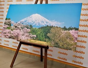 Quadro su tela – Monte Fuji