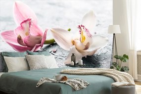 Carta da parati – Fiori di orchidee