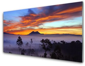 Quadro in vetro acrilico Paesaggio degli alberi di nebbia 100x50 cm