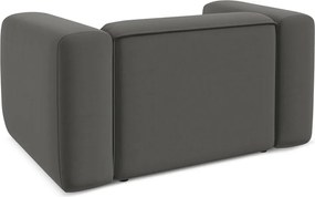 Poltrona grigia con rivestimento in velluto Ekahi – Makamii