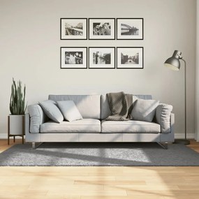 Tappeto Shaggy Pamplona A Pelo Lungo Moderno Grigio 100x200 Cm /