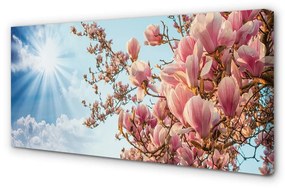 Quadro su tela Magnolia Sky Sun 100x50 cm