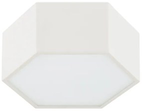 Argon 8781 - Plafoniera LED LIBERO LED/12W/230V 3000K bianco