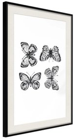 Poster  Butterfly Collection III  Cornice Quadri Cornice nera con pass-partout, Larghezza x Altezza Home decor 40x60