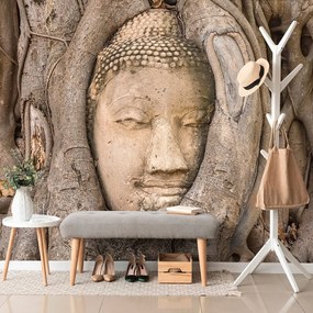 Carta da parati – Albero sacro di Buddha