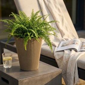 MERCEDES - vaso piccolo