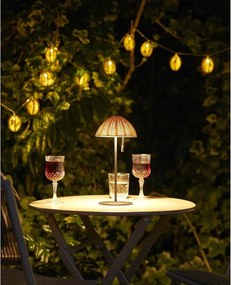 Catena luminosa LED con alimentazione a batteria numero lampadine 10 pz lunghezza totale 180 cm Carlisle – House Nordic