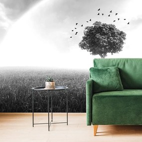 Carta da parati – Albero solitario in bianco e nero sul prato