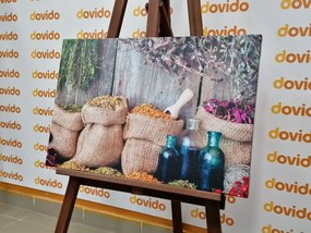 Quadro su tela – Erbe medicinali