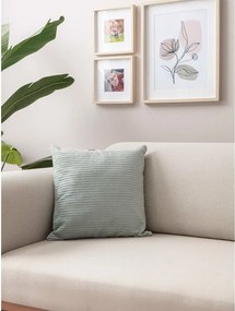 Federe decorative in set in velluto a coste 2 pz 43x43 cm – Mioli Decor