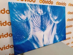 Stampa su tela – Soffione in tonalità blu