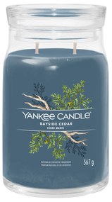 Bayside Cedar, candela in giara grande Yankee Candle