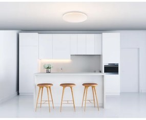 GLOBO 41003-20 - Plafoniera LED TARUG 1xLED/20W/230V