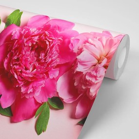 Carta da parati – Peonie in rosa