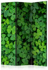 Paravento design Trifoglio verde (3 parti) - semplice composizione in foglie delicate