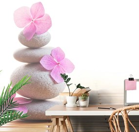 Carta da parati autoadesiva – Equilibrio di pietre e fiori rosa
