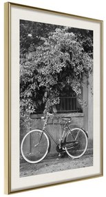 Poster  Bicycle with White Tires  Cornice Quadri Cornice d'oro con passe-partout, Larghezza x Altezza Home decor 20x30