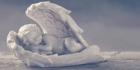 Quadro su tela – Angioletto addormentato