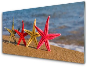 Quadro acrilico Arte della stella marina della spiaggia 100x50 cm