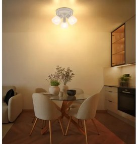 Globo 54317-3 - Faretto PLANTA 3xE14/40W/230V