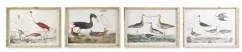 Quadro DKD Home Decor 60 x 2,8 x 45 cm Uccelli Moderno (4 Pezzi)
