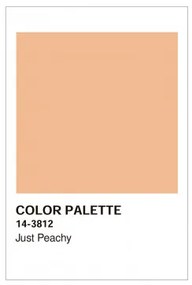 Poster Decorativo (30x40 cm) Color Palette Arancione Pesca - Sklum