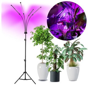 Lampada da terra dimmerabile a LED per la coltivazione di piante VITARO 4xLED/7,5W/230V nero