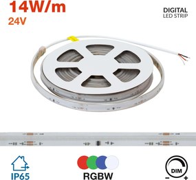Striscia LED Digitale COB RGBW 24V 14W/m RUNNING Professionale IP65 - 5 metri