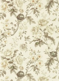 Sanderson Carta da parati Tansy Bloom - Oyster