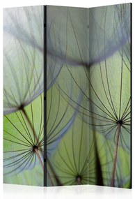 Paravento design Fleeting moments [Room Dividers]