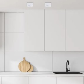 Faretto BALI 1xGU5,3/MR16/25W/12V quadrato bianco