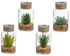 Set di piante finte 4 pz (altezza totale 12 cm) Cactus – Casa Selección