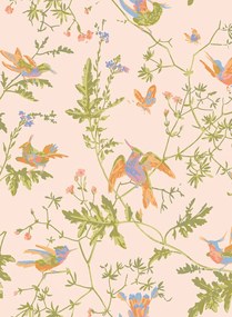 Cole & Son Carta da parati Hummingbirds - Tangerine/ Olive on Blush