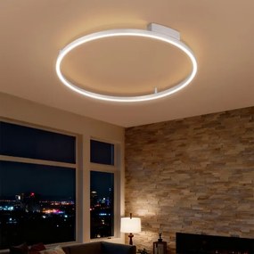 Brilagi - Lampada LED dimmerabile PORTOFINO LED/60W/230V Ø 80 cm argento + telecomando