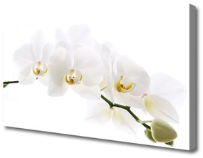 Quadro su tela Fiori di orchidea 100x50 cm