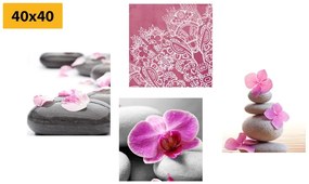 Set di quadri – Natura morta Zen