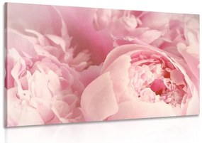 Stampa su tela – Petali di fiore