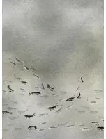 Coordonne Carta da parati panoramica Koi Metallics - Silver