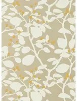 Harlequin Carta da parati Ardisia - Soft Focus/ Oyster/ Gold