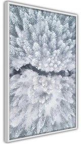 Poster Winter Forest From a Bird's Eye View
